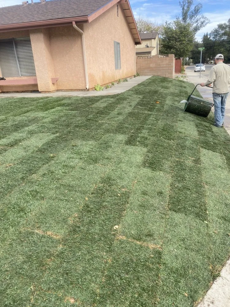 Affordable landscape installation for homes in Ventura, CA by Elements and Solutions Landscape