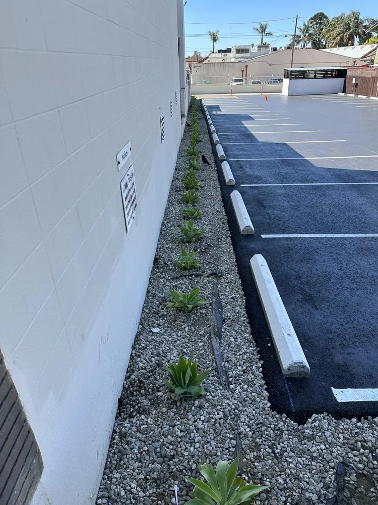 Reliable landscape design in Ventura, CA by Elements and Solutions Landscape