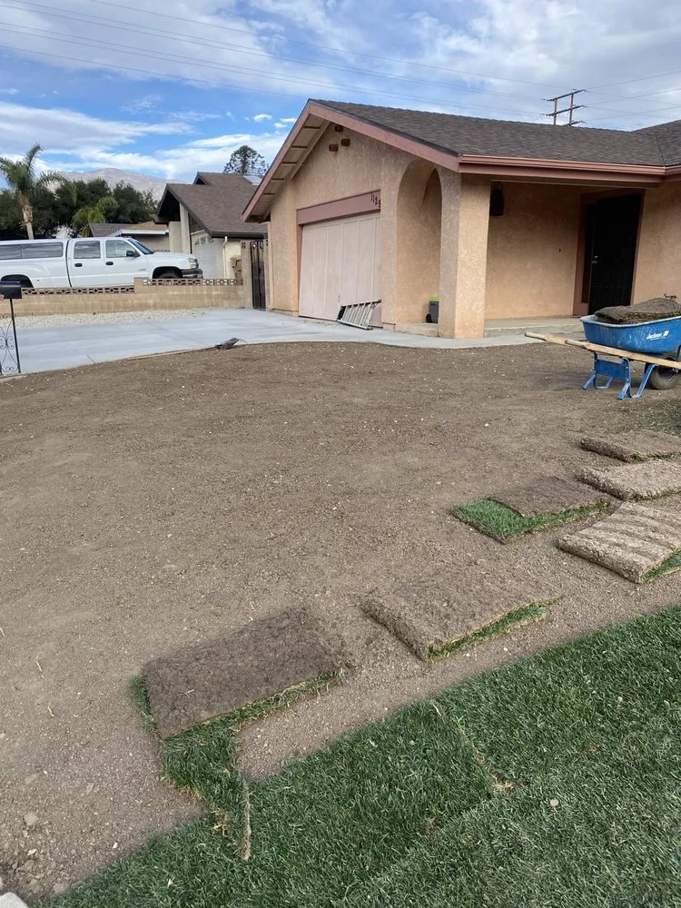 Top-rated outdoor landscaping for year-round maintenance across Ventura, CA - Elements and Solutions Landscape