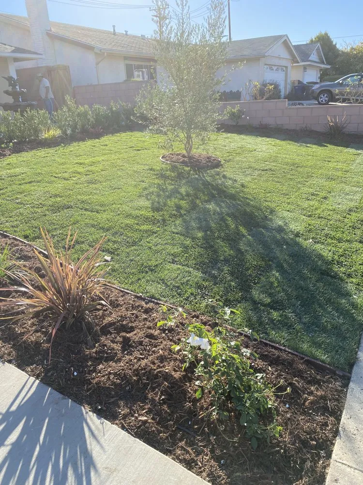 Reliable landscape installation for residential properties across Ventura, CA - Elements and Solutions Landscape