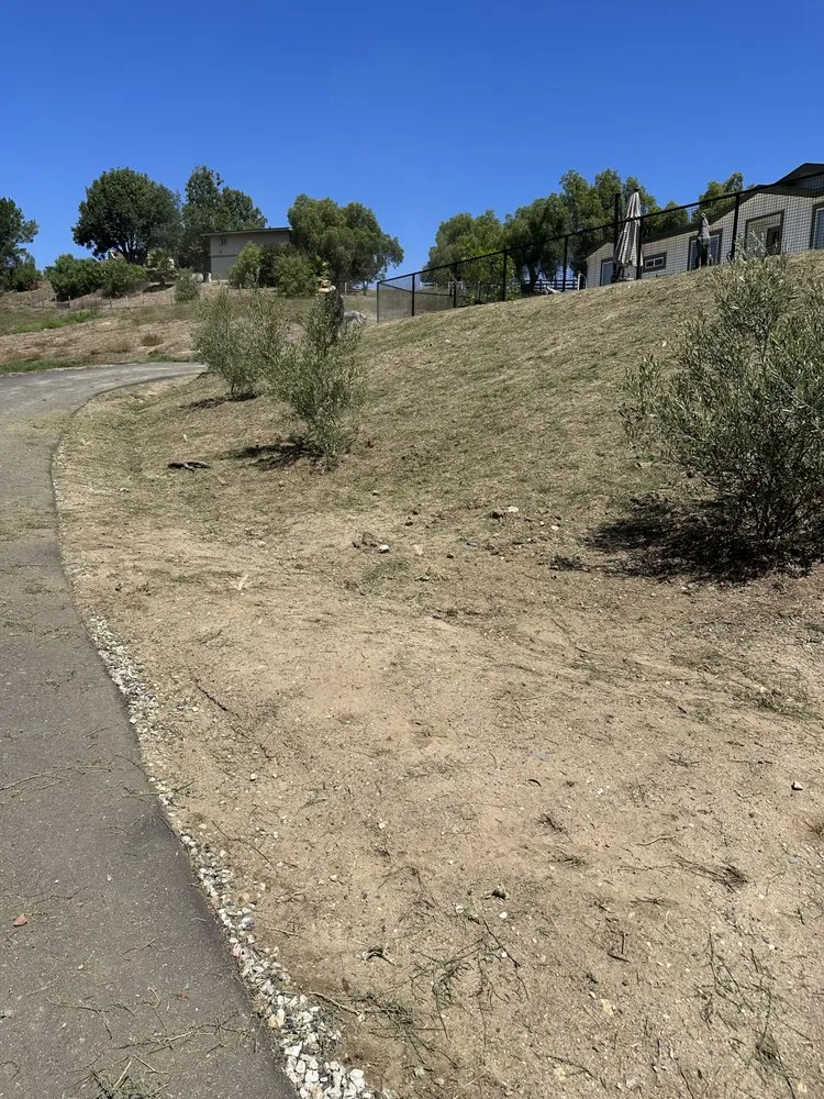 Reliable outdoor landscaping near you in Ventura, CA by Elements and Solutions Landscape