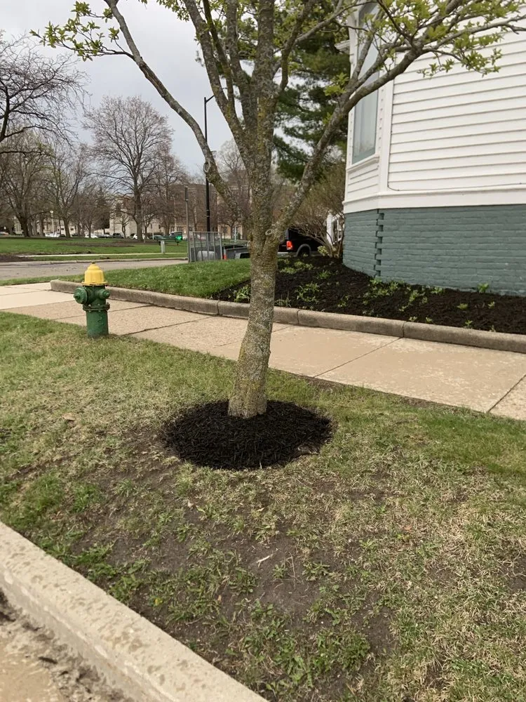 Expert landscape installation in Racine, WI - Elements Develop