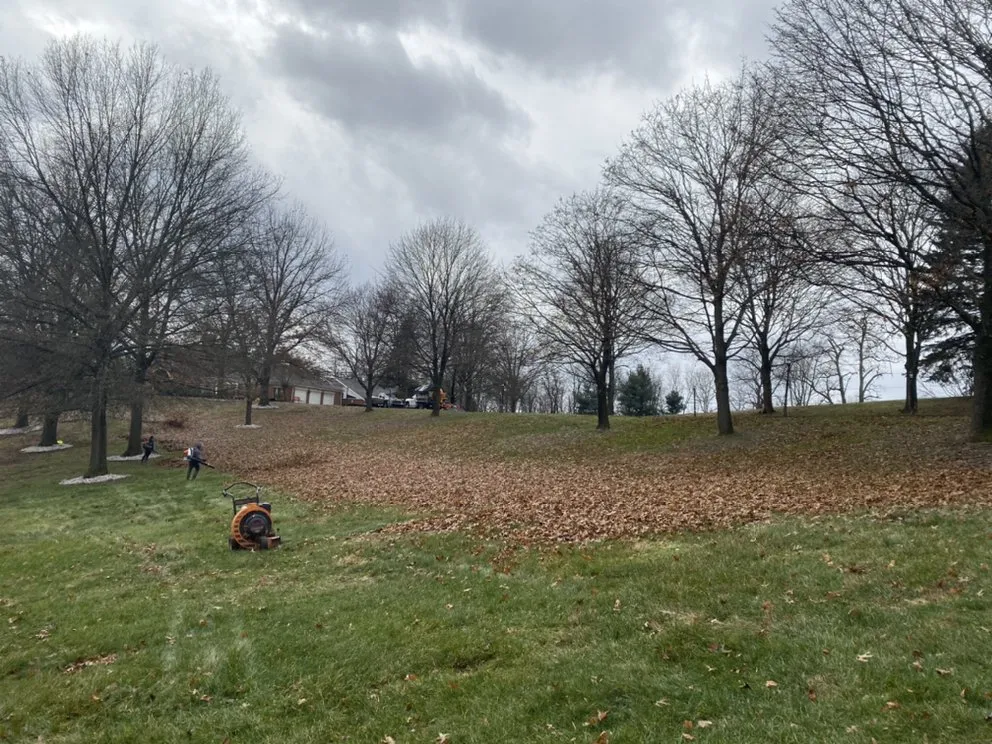 Affordable residential landscaping experts serving Baden, PA - Elements Landscape Management