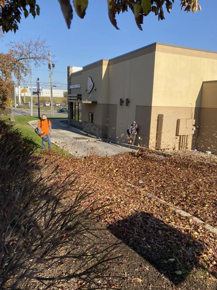 Expert lawn mowing service experts serving Baden, PA - Elements Landscape Management