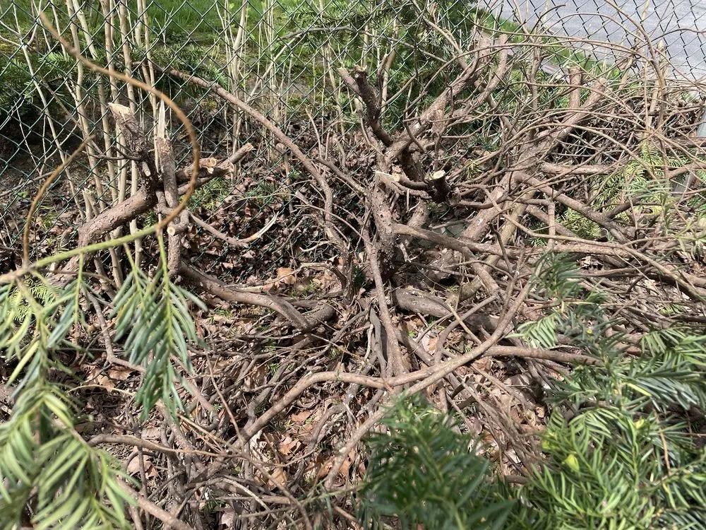 Custom landscaping services experts serving Baden, PA - Elements Landscape Management