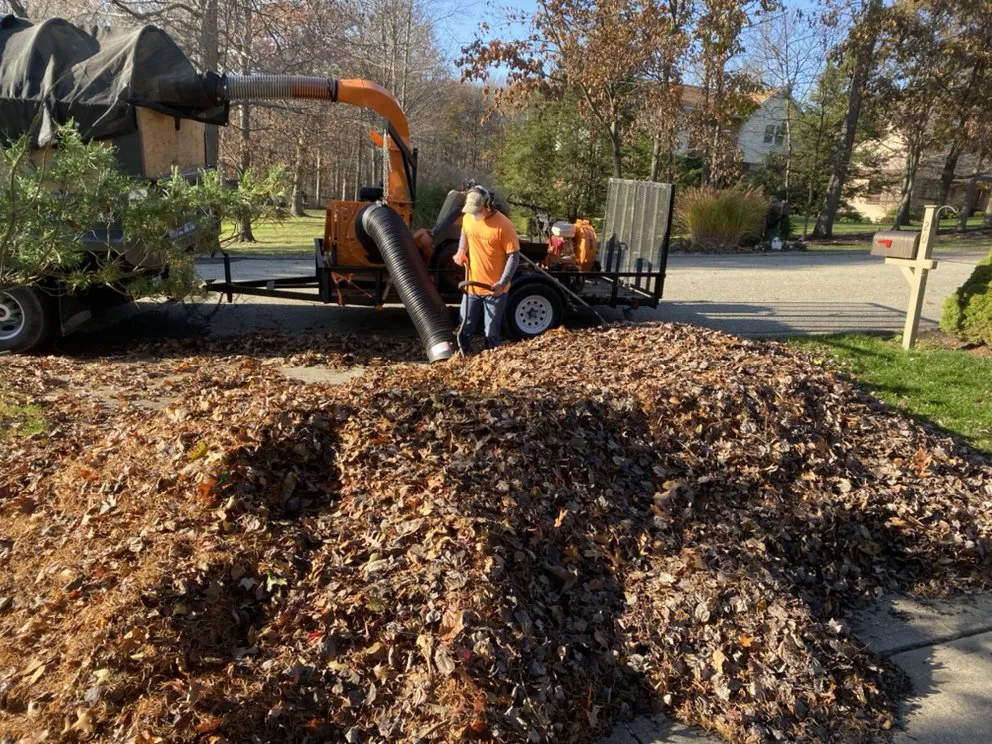 Expert yard cleanup service for residential properties in Baden, PA by Elements Landscape Management