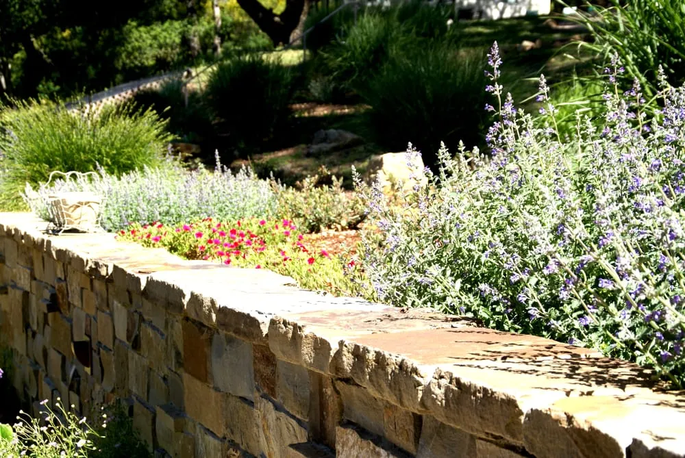 Expert outdoor landscaping in Menlo Park, CA by Elements Landscape