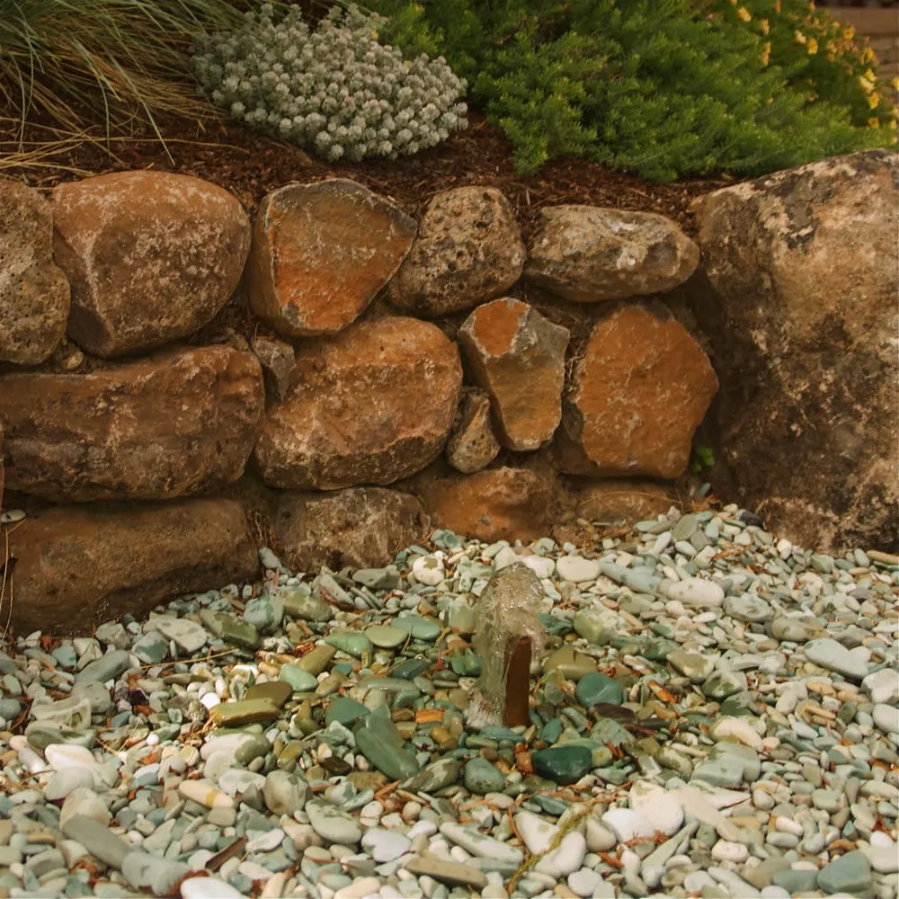 Reliable yard cleanup service in Menlo Park, CA - Elements Landscape