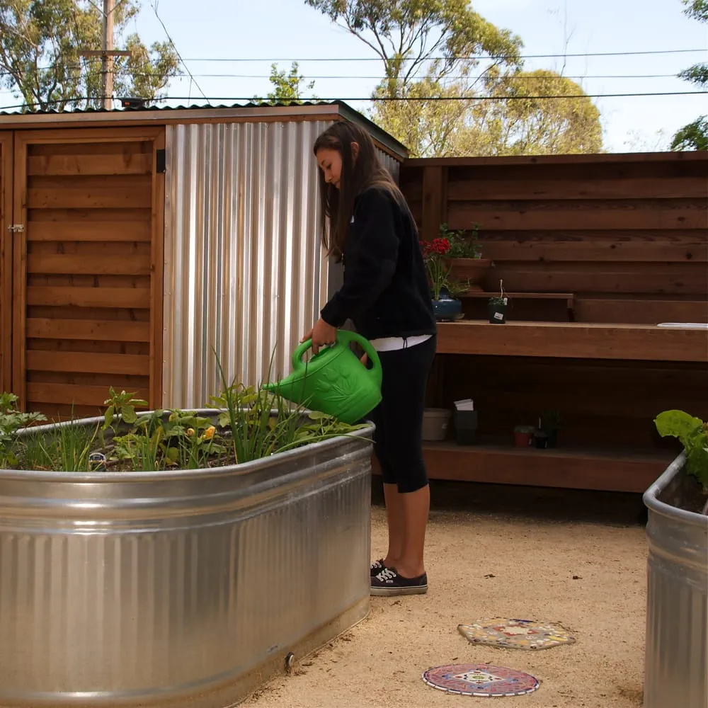 Local landscape design for beautiful yards in Menlo Park, CA by Elements Landscape