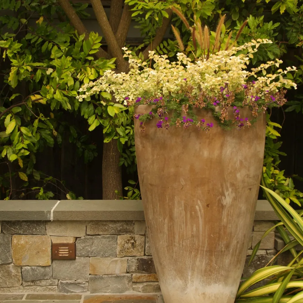 Custom yard cleanup service near you in Menlo Park, CA by Elements Landscape