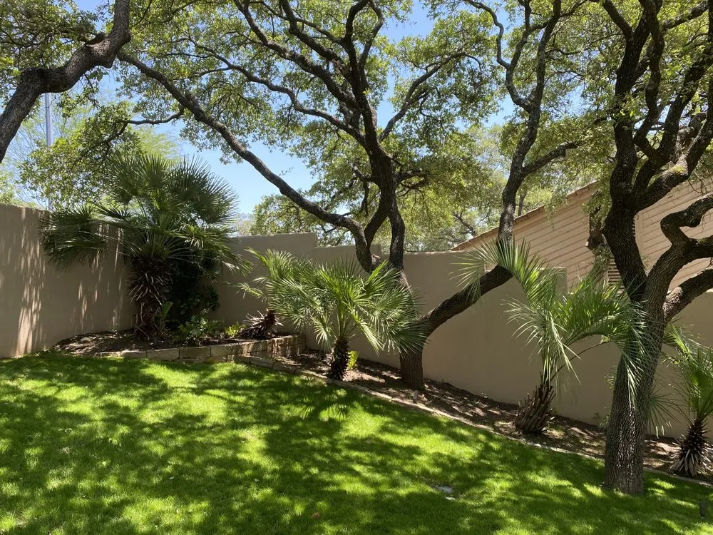 Affordable yard cleanup service for residential properties across Austin, TX - Elements Lawn & Landscape