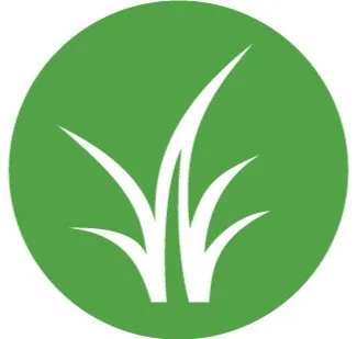 Trusted lawn mowing service in Austin, TX by Elements Lawn & Landscape