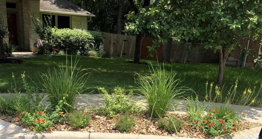 Top-rated yard cleanup service near you in Austin, TX by Elements Lawn & Landscape