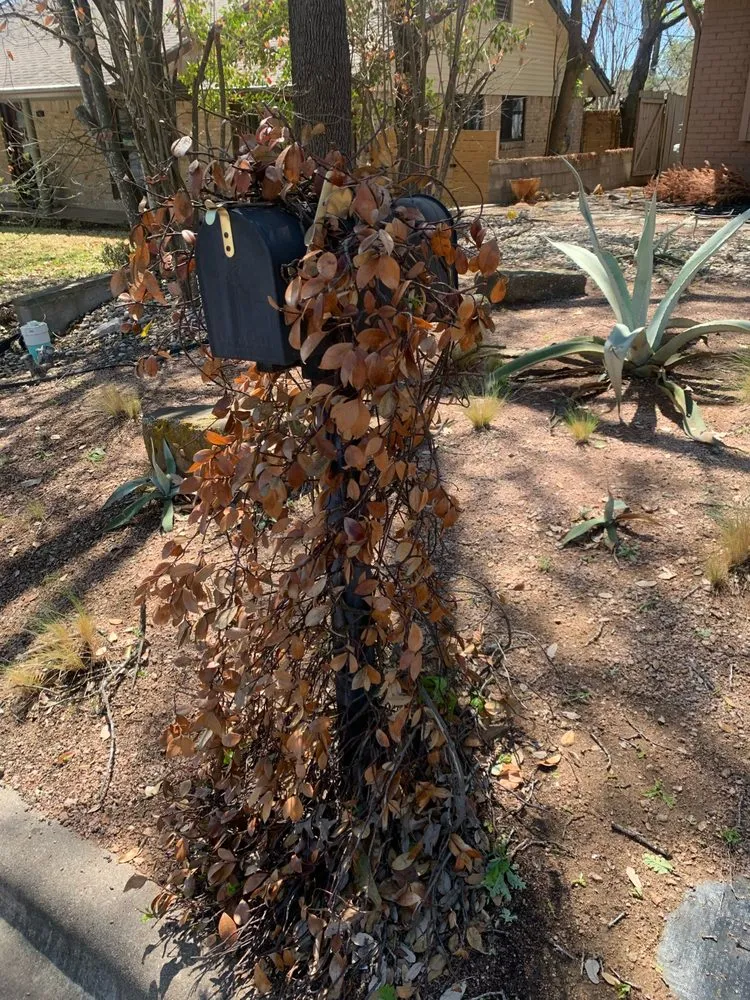 Top-rated landscape installation in Austin, TX - Elements Lawn & Landscape