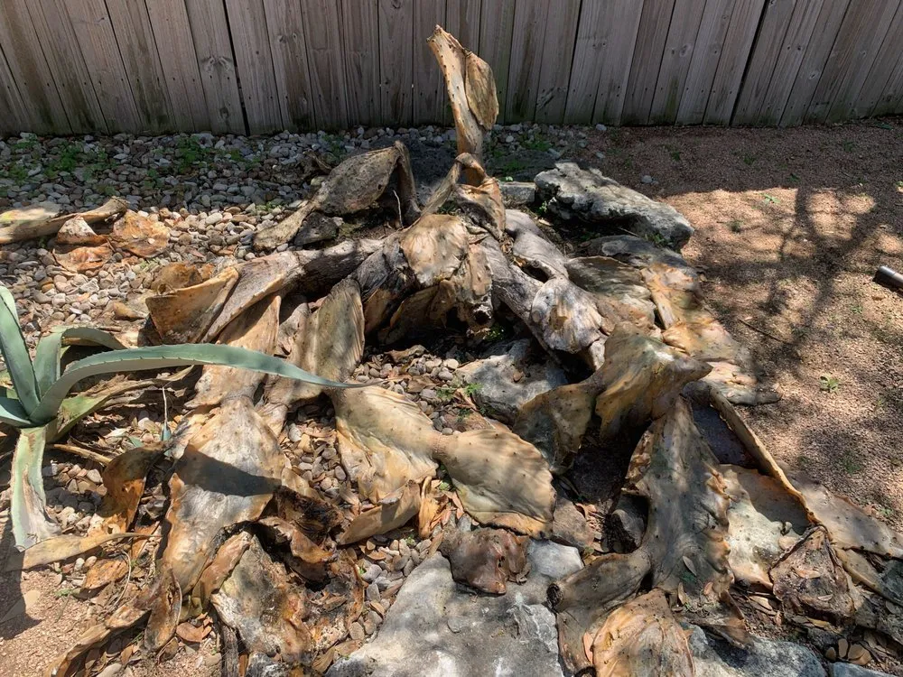 Reliable landscape installation in Austin, TX by Elements Lawn & Landscape