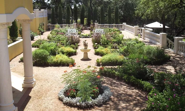 Expert yard cleanup service in Austin, TX by Elements Lawn & Landscape