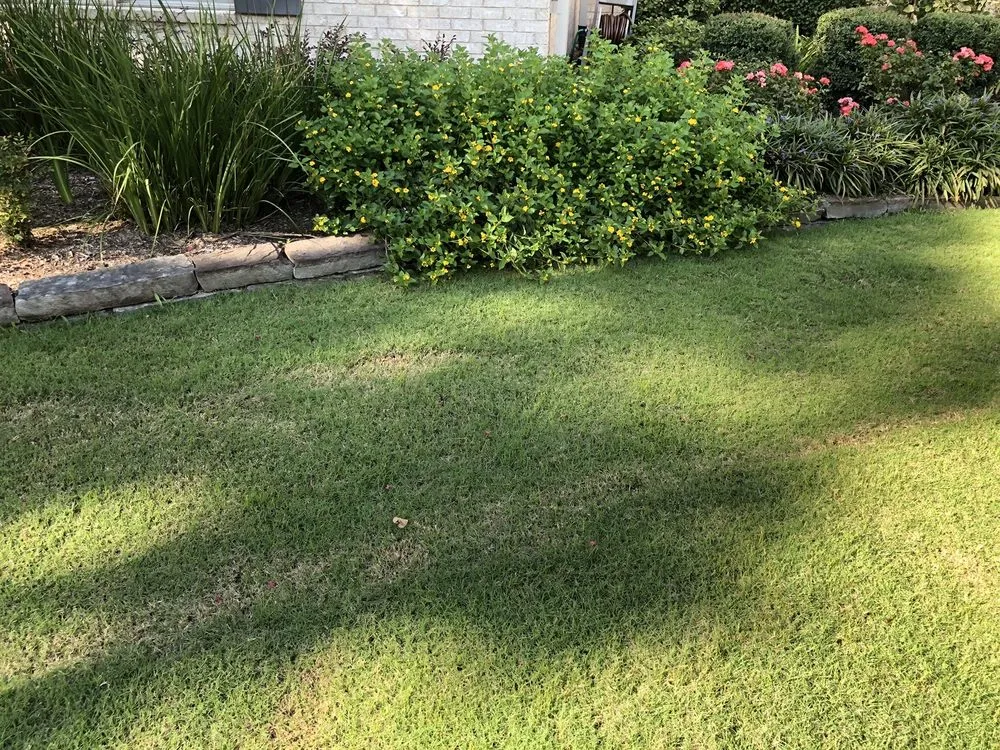 Trusted garden landscaping experts serving Katy, TX - Elements Tree, Lawn and Shrub