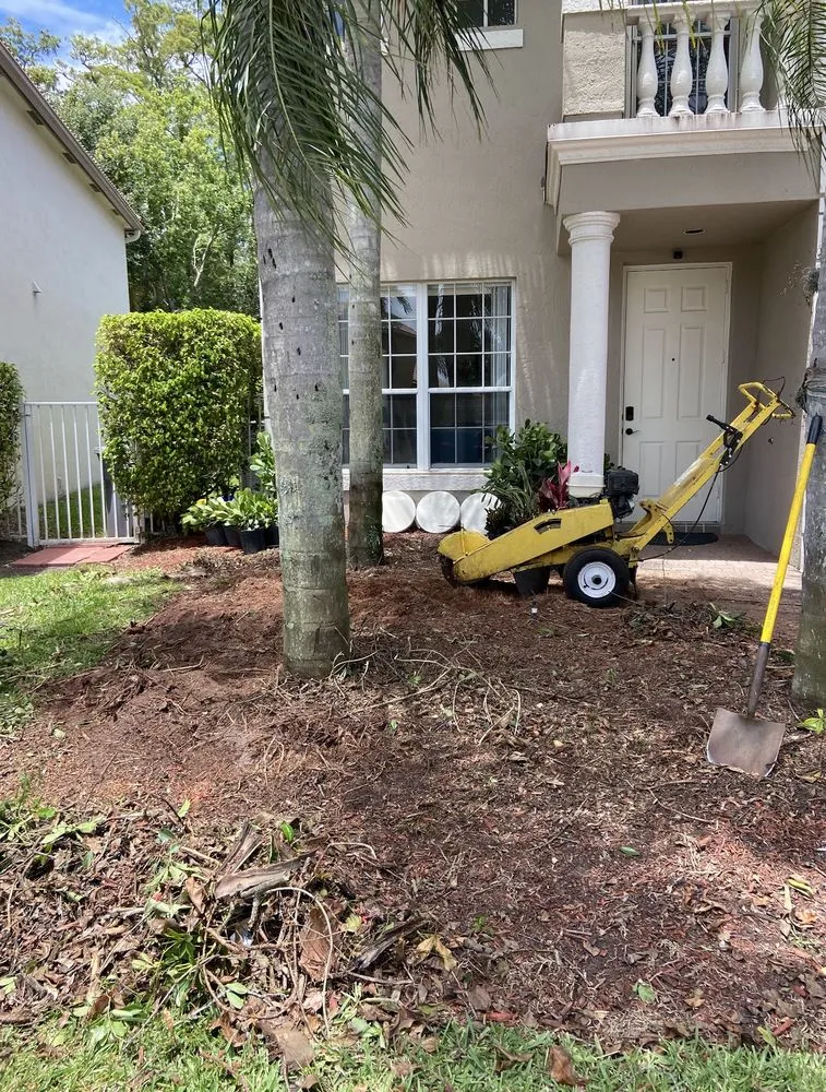 Trusted yard cleanup service for year-round maintenance in Boca Raton, FL by Elena Landscaping