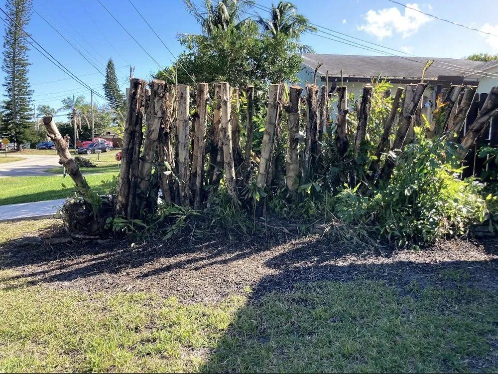 Professional landscape design for homes in Boca Raton, FL by Elena Landscaping