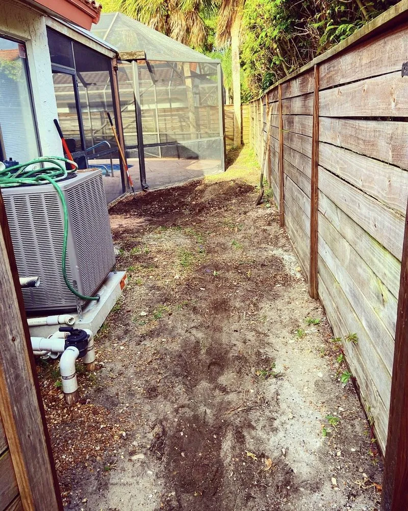 Expert yard cleanup service in Boca Raton, FL by Elena Landscaping