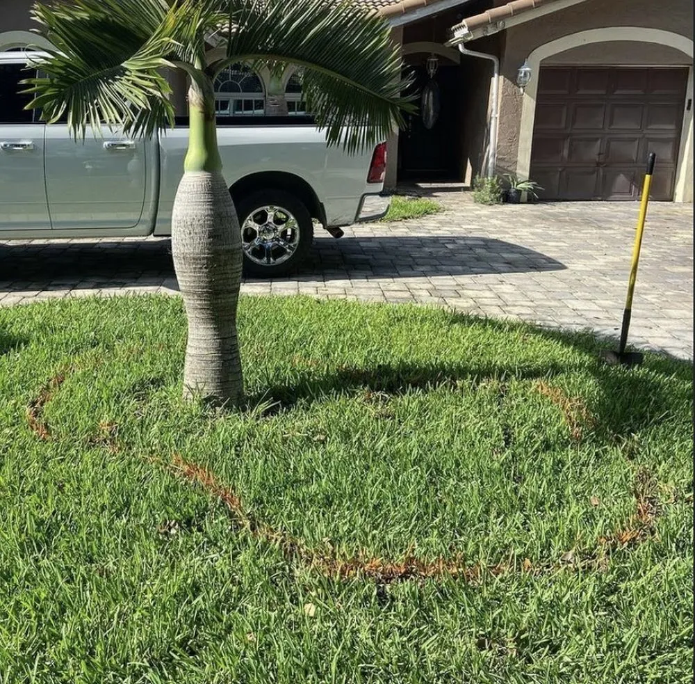 Trusted lawn care service for residential properties across Boca Raton, FL - Elena Landscaping