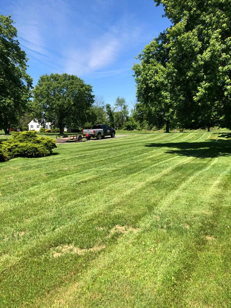 Expert landscape design in Hillsborough Township, NJ - Elephant Landscaping