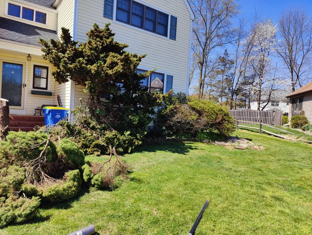 Affordable landscape installation in Hillsborough Township, NJ by Elephant Landscaping