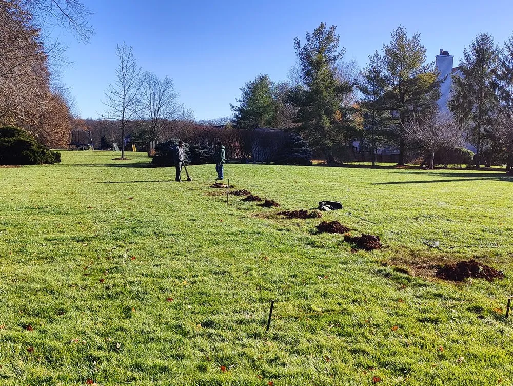 Custom garden landscaping for residential properties across Hillsborough Township, NJ - Elephant Landscaping