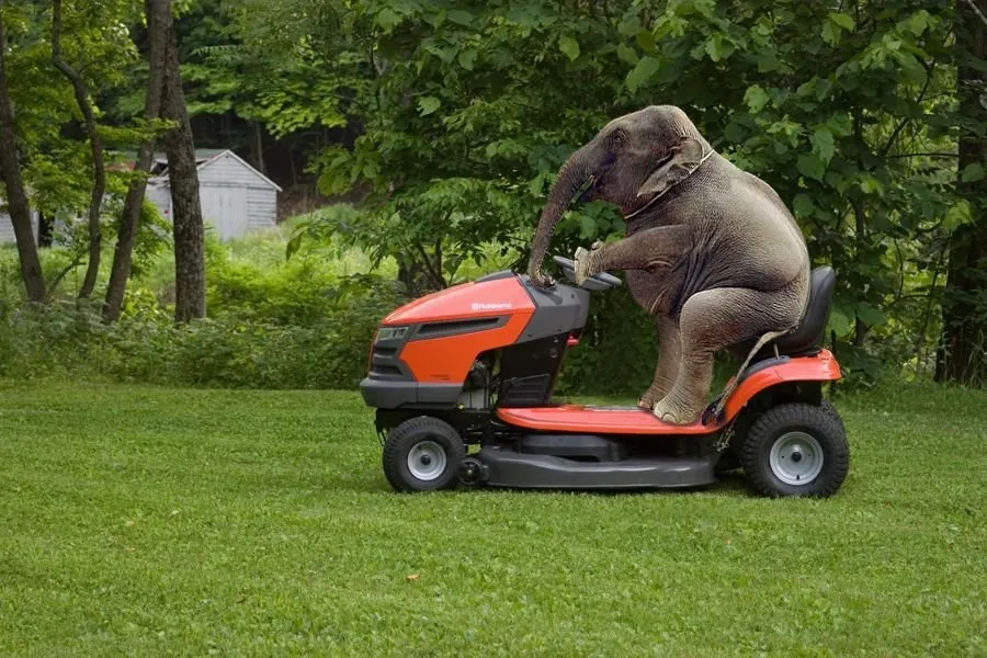 Reliable lawn care service in New Oxford, PA - Elephant Outdoor Services