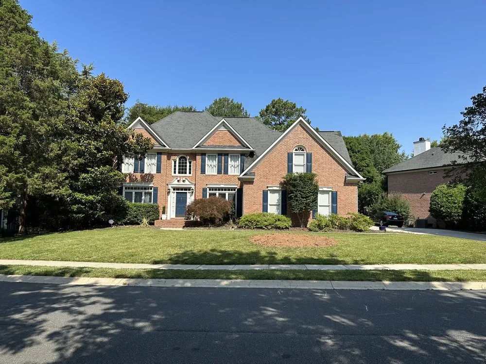 Trusted landscape design in Charlotte, NC - Elephant Trunk Tree and Landscaping