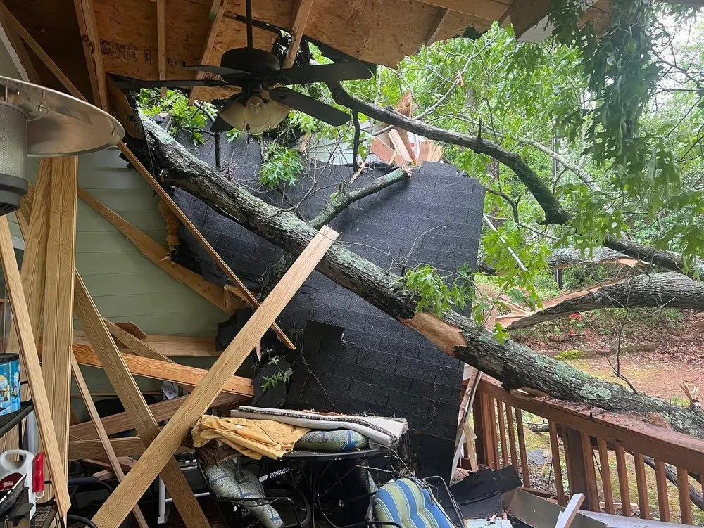 Custom lawn care service for beautiful yards across Charlotte, NC - Elephant Trunk Tree and Landscaping