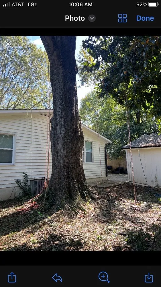 Top-rated landscape design in Charlotte, NC by Elephant Trunk Tree and Landscaping