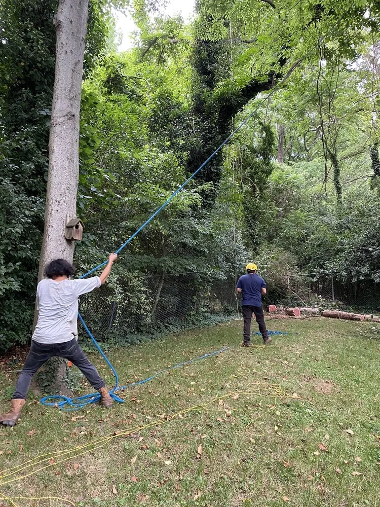 Expert lawn mowing service in Charlotte, NC by Elephant Trunk Tree and Landscaping