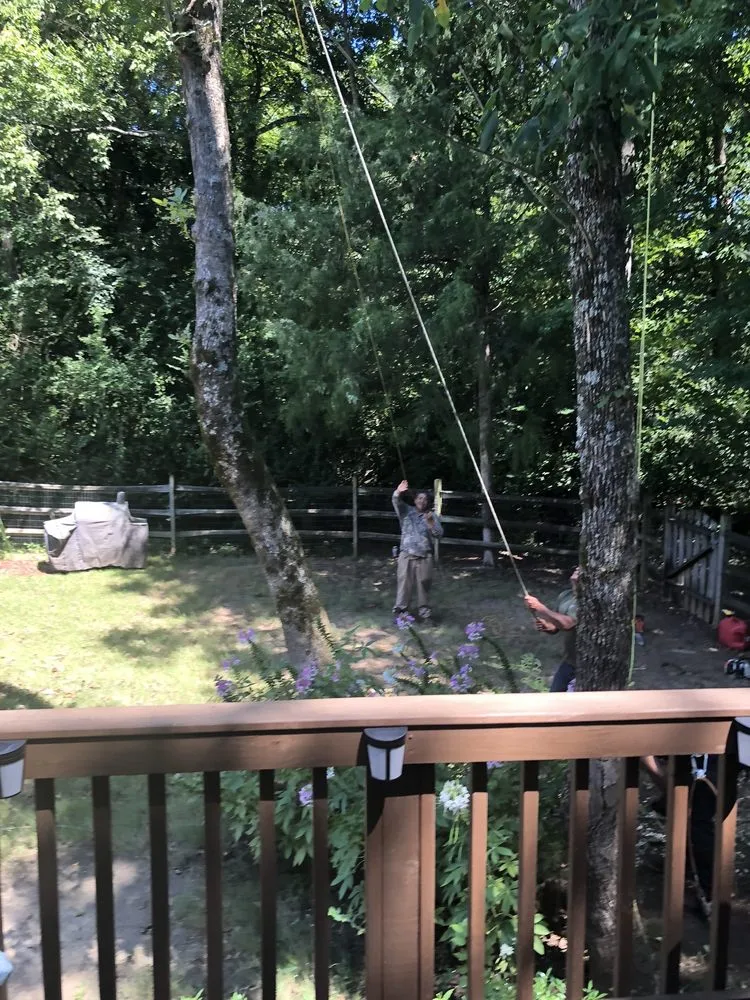 Professional landscaping services for residential properties in Charlotte, NC by Elephant Trunk Tree and Landscaping