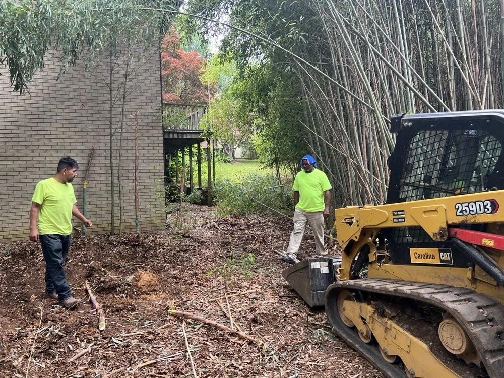 Custom landscape installation in Charlotte, NC by Elephant Trunk Tree and Landscaping