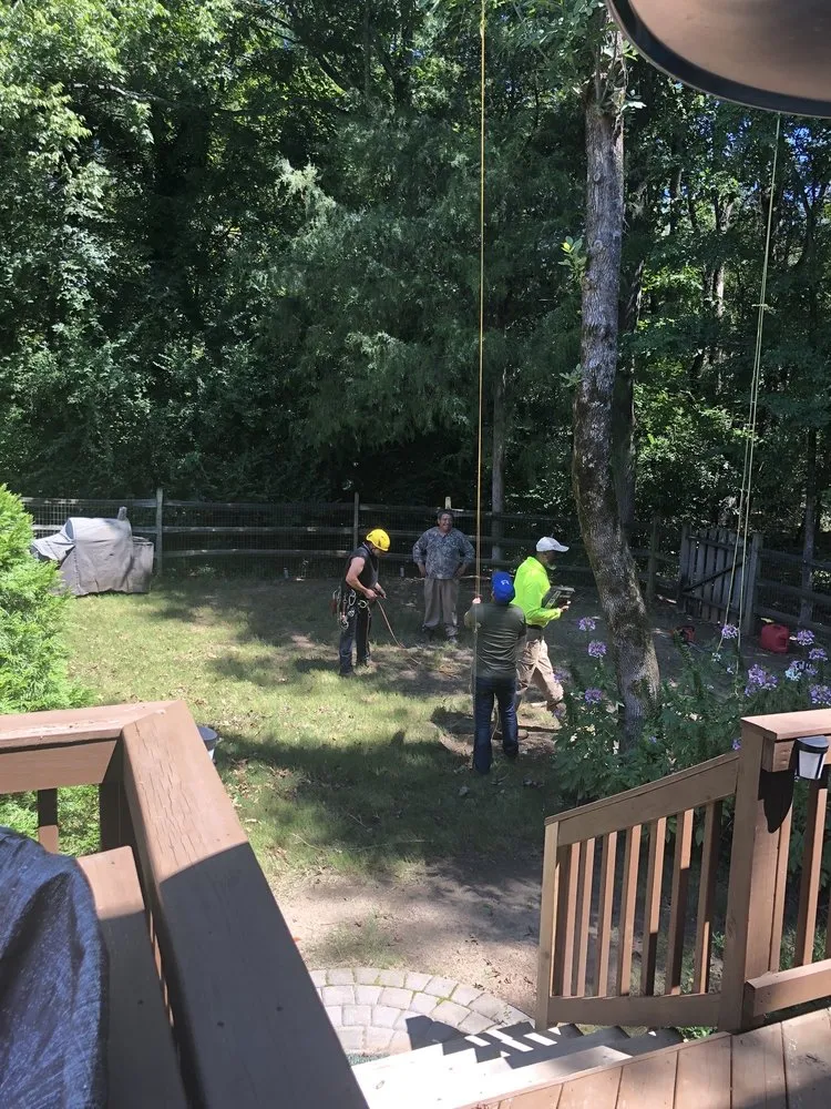 Top-rated residential landscaping for homes in Charlotte, NC by Elephant Trunk Tree and Landscaping