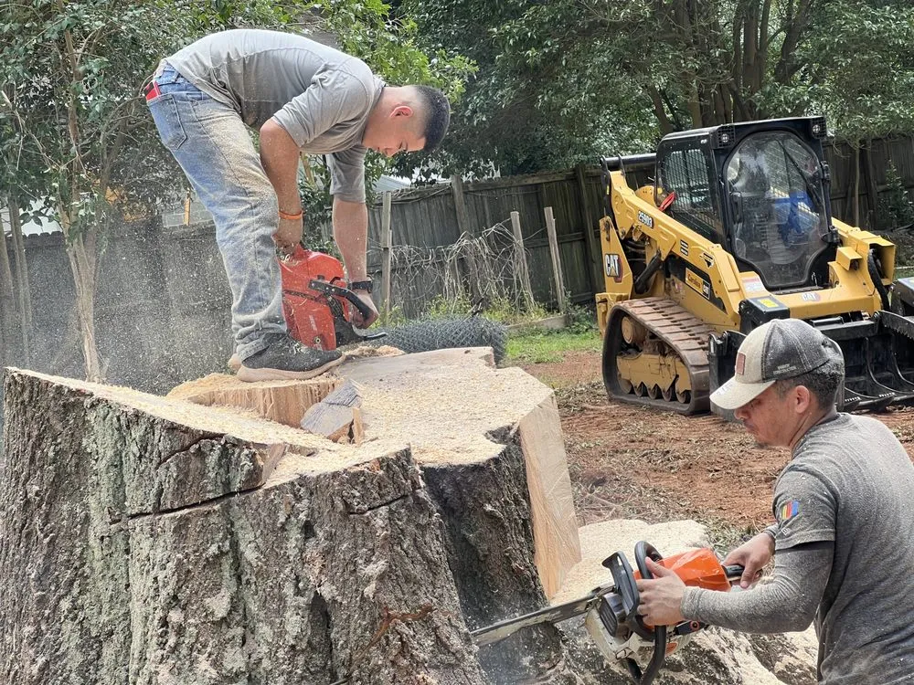 Local landscaping services in Charlotte, NC by Elephant Trunk Tree and Landscaping