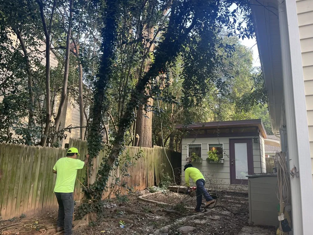 Top-rated lawn care service experts serving Charlotte, NC - Elephant Trunk Tree and Landscaping