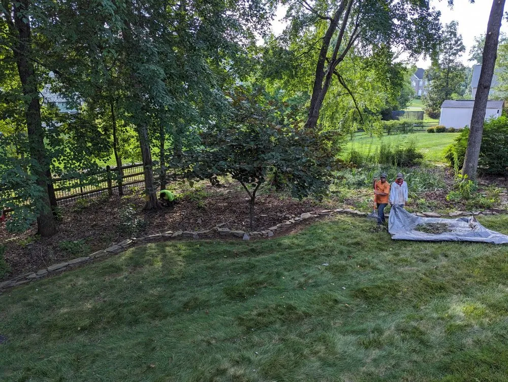Top-rated garden landscaping for residential properties across Charlotte, NC - Elephant Trunk Tree and Landscaping
