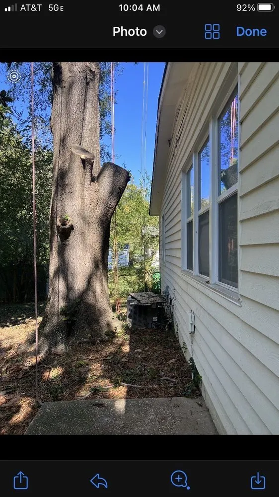 Top-rated yard cleanup service for homes across Charlotte, NC - Elephant Trunk Tree and Landscaping