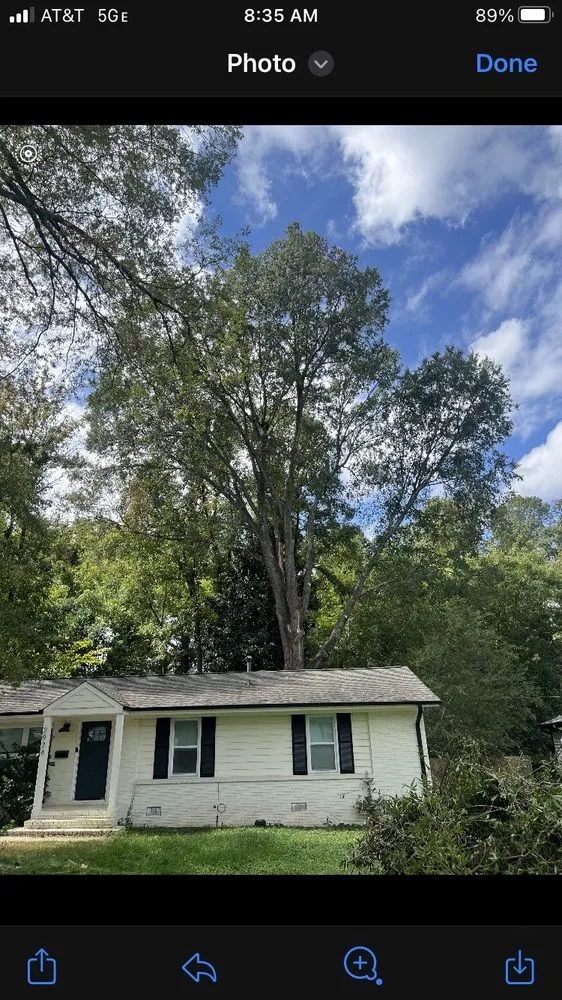 Professional landscape design for beautiful yards in Charlotte, NC by Elephant Trunk Tree and Landscaping