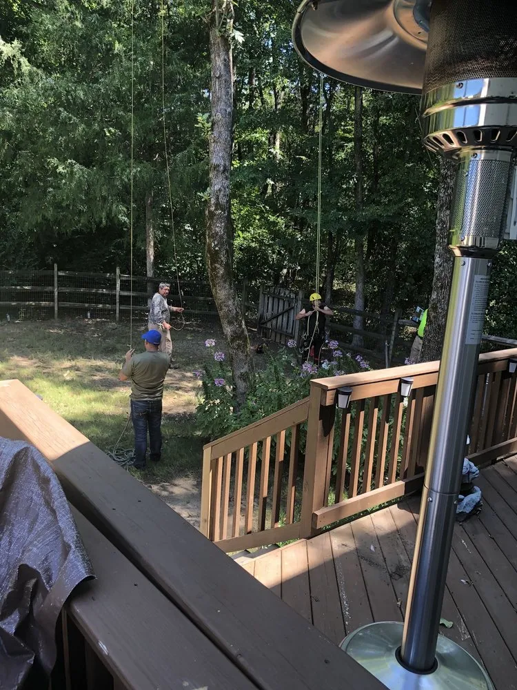 Expert yard maintenance in Charlotte, NC - Elephant Trunk Tree and Landscaping