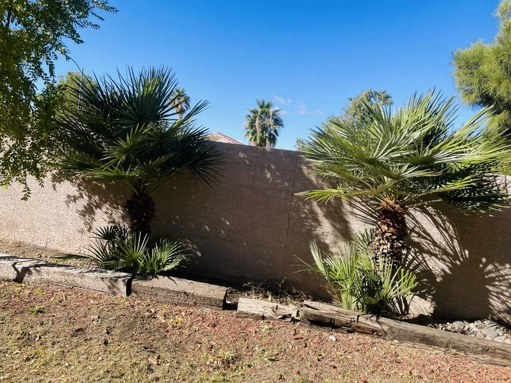 Top-rated landscaping services experts serving Las Vegas, NV - Elevate Land Care