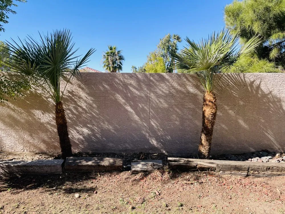 Expert residential landscaping for year-round maintenance across Las Vegas, NV - Elevate Land Care