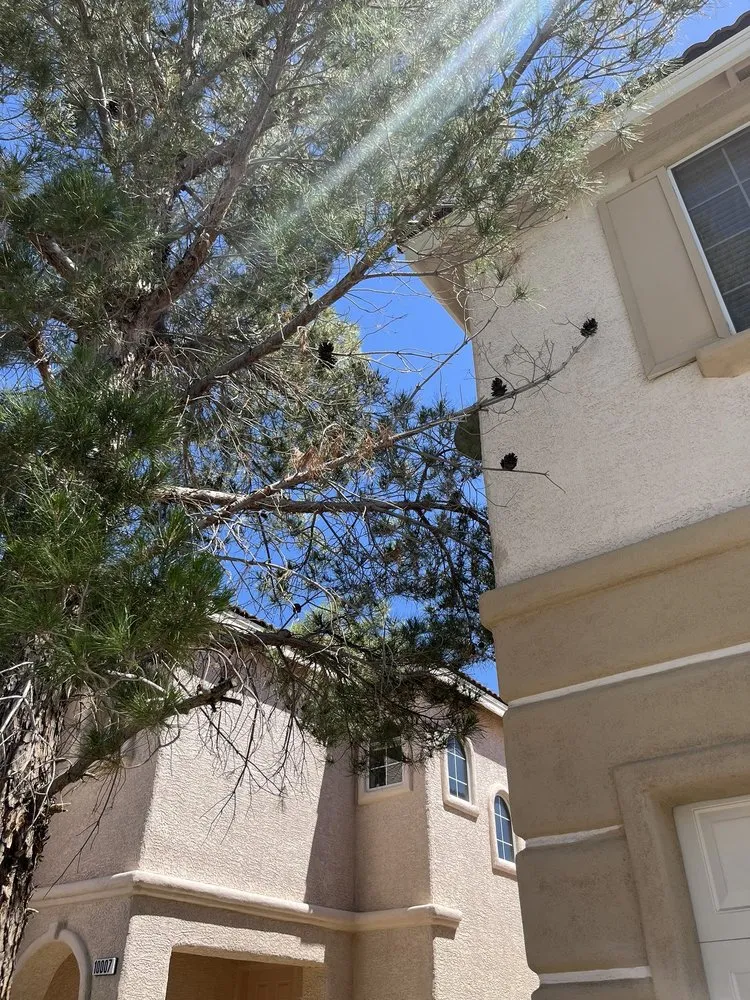 Trusted lawn mowing service experts serving Las Vegas, NV - Elevate Land Care