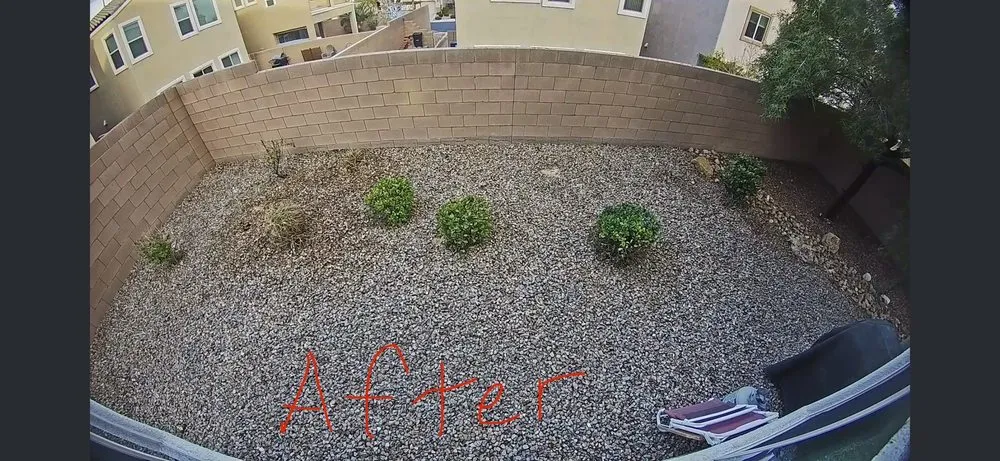 Local yard cleanup service experts serving Las Vegas, NV - Elevate Land Care