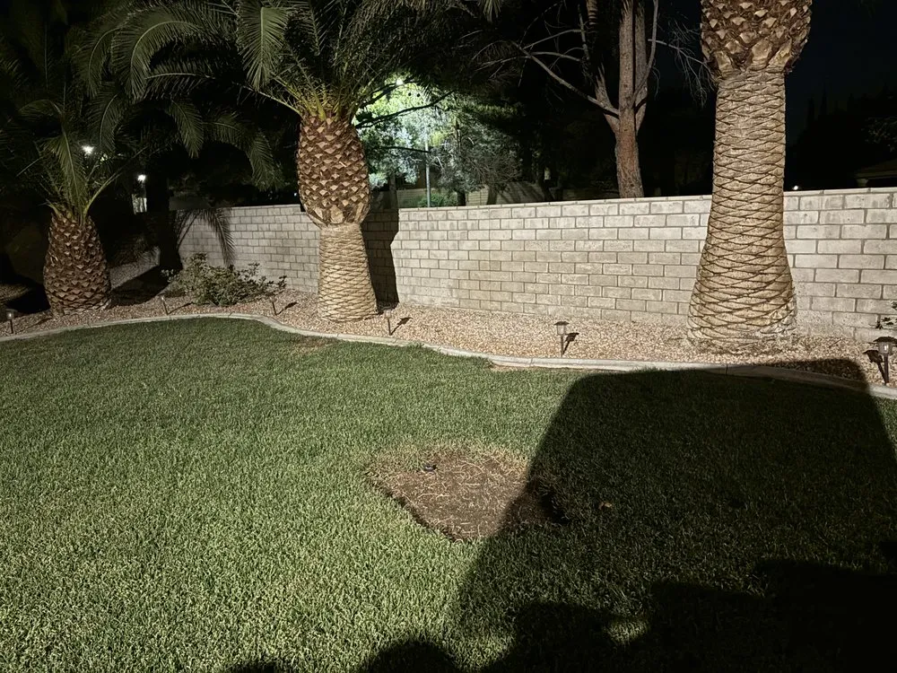 Reliable landscape design in Las Vegas, NV by Elevate Land Care