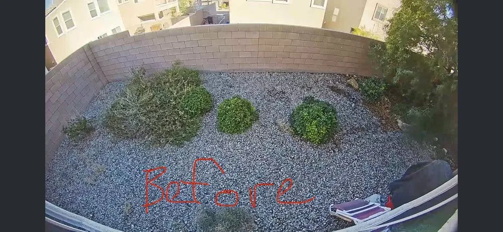 Trusted yard maintenance experts serving Las Vegas, NV - Elevate Land Care