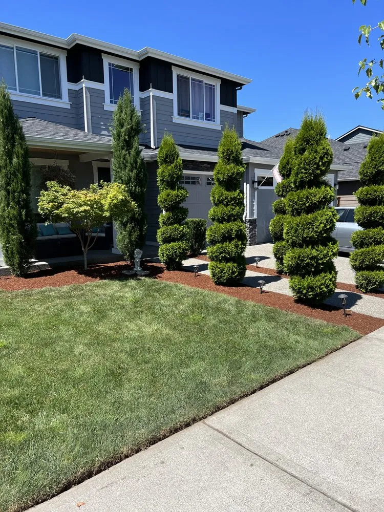 Local outdoor landscaping for beautiful yards across Bonney Lake, WA - Elevate Landscape And Design