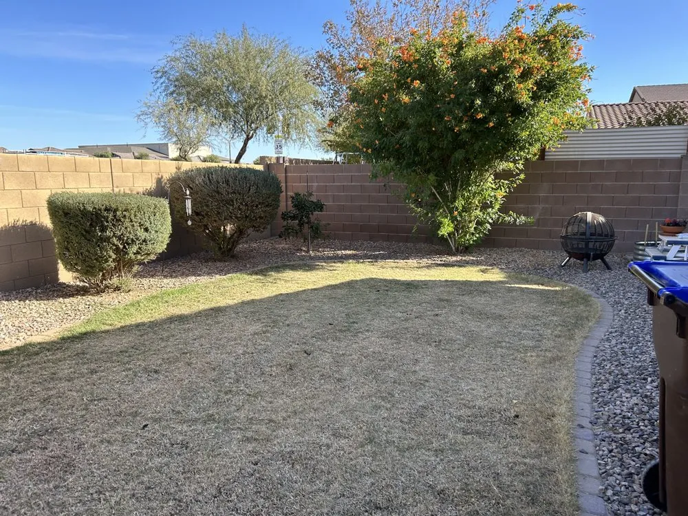 Custom lawn mowing service for outdoor upgrades in San Tan Valley, AZ by Elevate Landscape